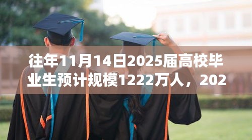 2025届高校毕业生求职就业全攻略，应对规模达1222万人的挑战