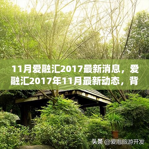 深度解析，爱融汇2017年11月最新动态与背景事件影响