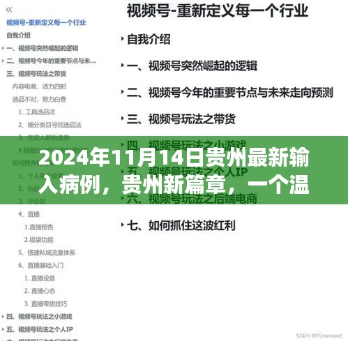 贵州新篇章，新朋友的到来与爱的传递——贵州最新输入病例温馨故事（2024年11月14日）