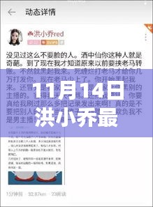 洪小乔最新文章深度解析，背景、事件、影响与时代地位探析（11月14日）