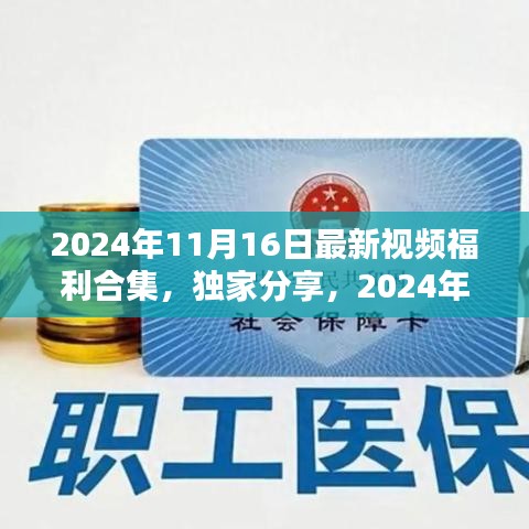 独家分享揭秘，2024年热门视频福利合集精彩解析（限时版）