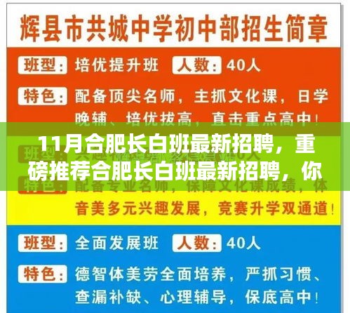 合肥长白班最新招聘重磅推荐，理想工作等你来挑战！