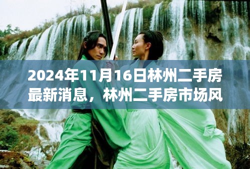 林州二手房市场风云再起，最新动态聚焦2024年11月16日