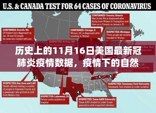 美国疫情下的心灵之旅，自然疗愈与疫情数据的变迁（11月16日）