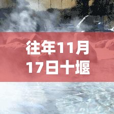 揭秘往年11月17日十堰长岭最新动态与资讯速递