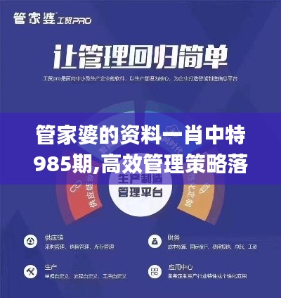 管家婆的资料一肖中特985期,高效管理策略落实_PRL8.28.89影像处理版