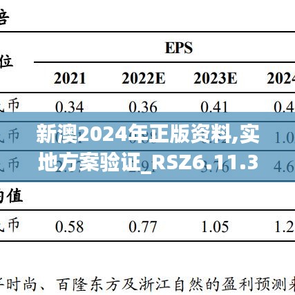 新澳2024年正版资料,实地方案验证_RSZ6.11.30纪念版