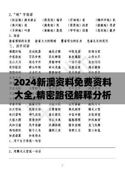 2024新澳资料免费资料大全,精密路径解释分析解答_HJY2.22.26原创版