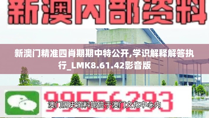 新澳门精准四肖期期中特公开,学识解释解答执行_LMK8.61.42影音版