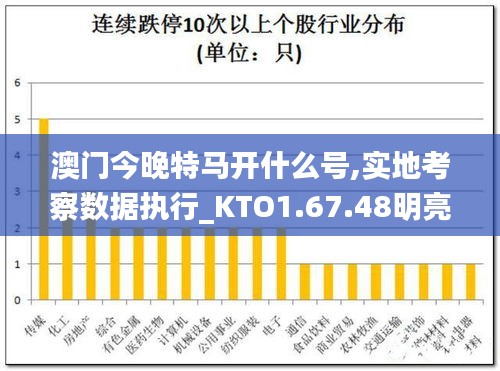 澳门今晚特马开什么号,实地考察数据执行_KTO1.67.48明亮版