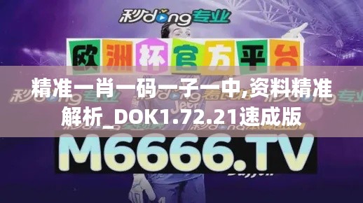 精准一肖一码一子一中,资料精准解析_DOK1.72.21速成版