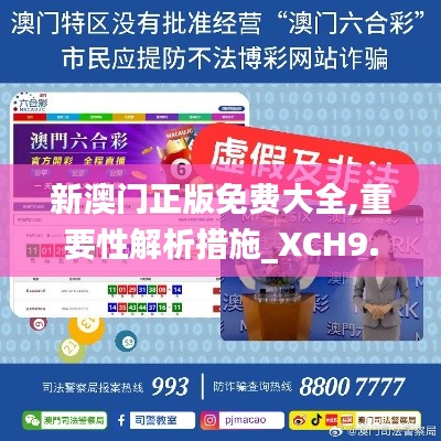 新澳门正版免费大全,重要性解析措施_XCH9.61.45零售版