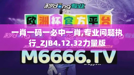 一肖一码一必中一肖,专业问题执行_ZJB4.12.32力量版