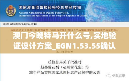 澳门今晚特马开什么号,实地验证设计方案_EGN1.53.55确认版