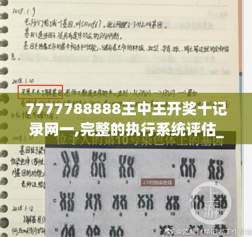 7777788888王中王开奖十记录网一,完整的执行系统评估_FJW1.78.85见证版