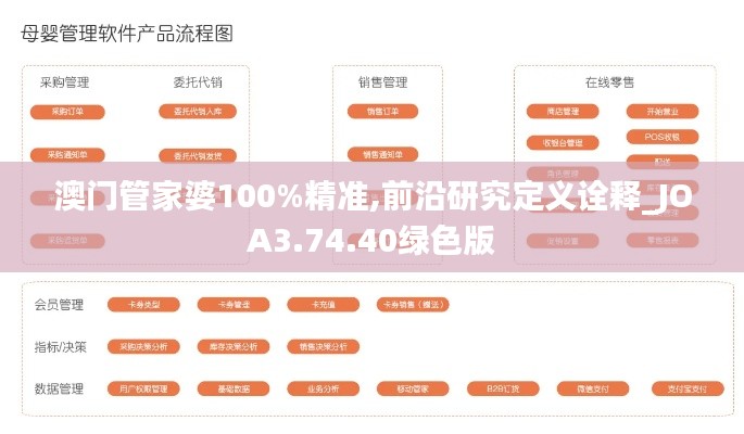 澳门管家婆100%精准,前沿研究定义诠释_JOA3.74.40绿色版