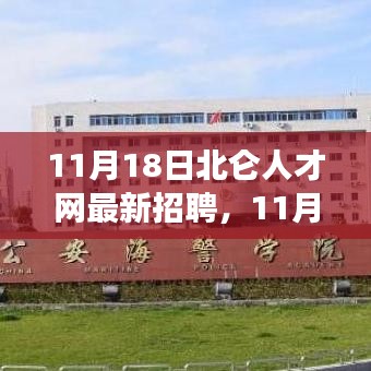 11月18日北仑人才网最新招聘求职全攻略，成功应聘心仪职位的步骤指南