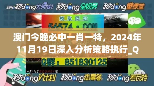 澳门今晚必中一肖一特，2024年11月19日深入分析策略执行_QLU3.26.48通行证版