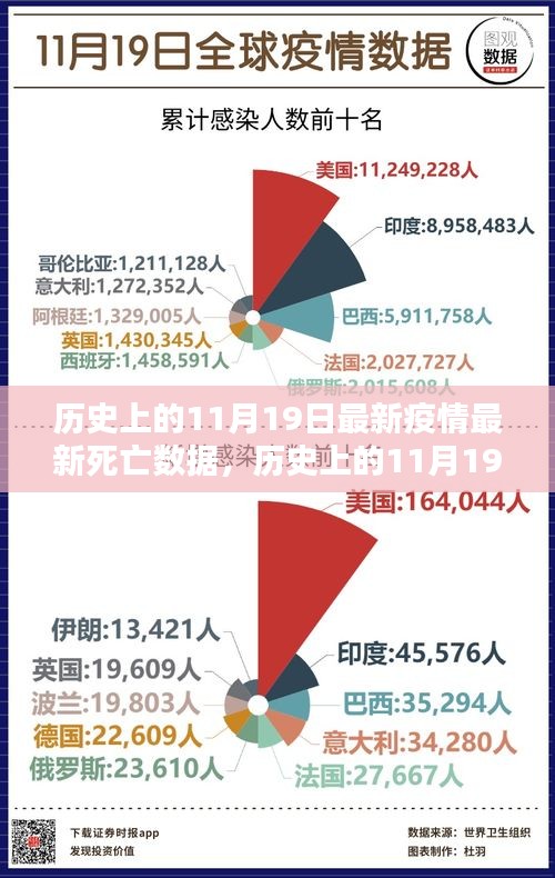 历史上的11月19日疫情深度解析，全球最新死亡数据报告