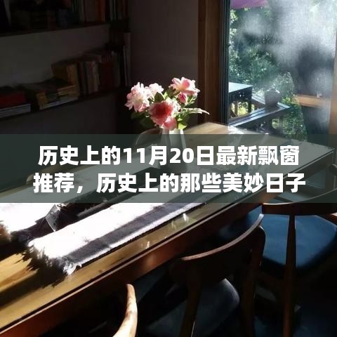 探寻历史美妙日子，一场关于11月20日的飘窗之旅，领略独特风景与内心宁静的魅力