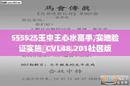 555525王中王心水高手,实地验证实施_CVL48.201社区版