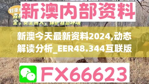 新澳今天最新资料2024,动态解读分析_EER48.344互联版