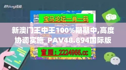 新澳门王中王100%期期中,高度协调实施_PAV48.894国际版