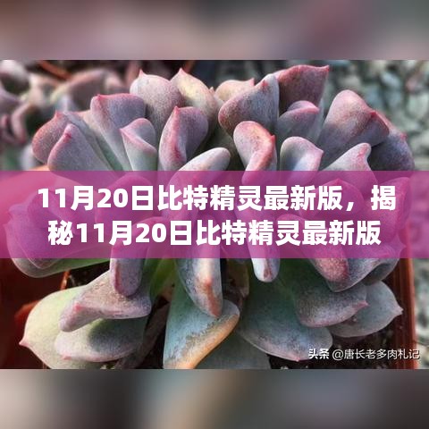 揭秘，11月20日比特精灵最新版功能更新与特点探讨