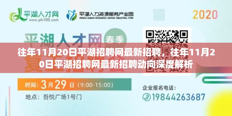 平湖招聘网最新招聘动向深度解析，历年11月20日招聘信息汇总与解读