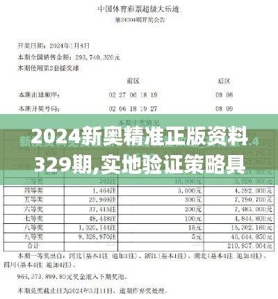 2024新奥精准正版资料329期,实地验证策略具体_TUV2.40