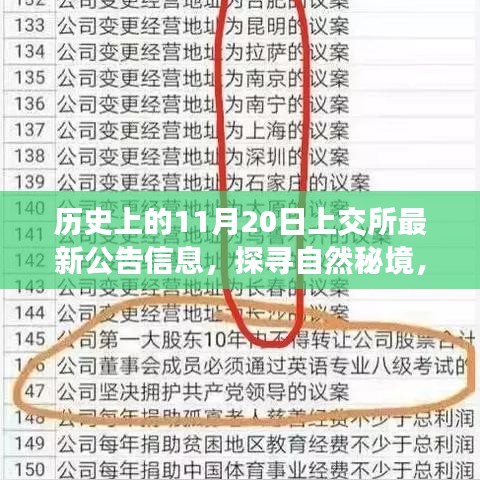 探寻自然秘境，历史上的今天与上交所公告的心灵之旅奇妙碰撞纪实（上交所最新公告信息回顾）