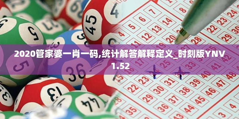 2020管家婆一肖一码,统计解答解释定义_时刻版YNV1.52