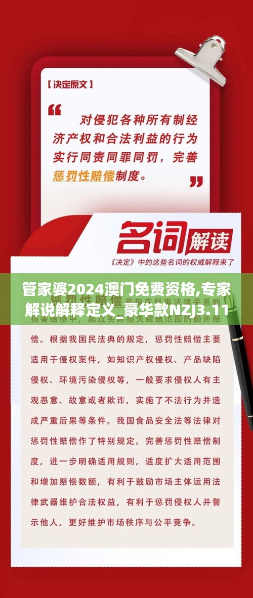 管家婆2024澳门免费资格,专家解说解释定义_豪华款NZJ3.11