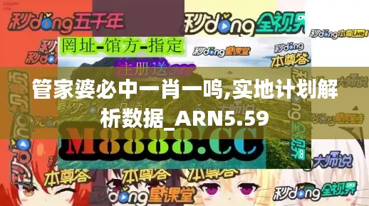 管家婆必中一肖一鸣,实地计划解析数据_ARN5.59