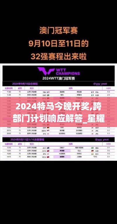 2024特马今晚开奖,跨部门计划响应解答_星耀版NED6.35