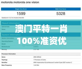 澳门平特一肖100%准资优势,证实解释落实解答_炼髓境HHS8.42