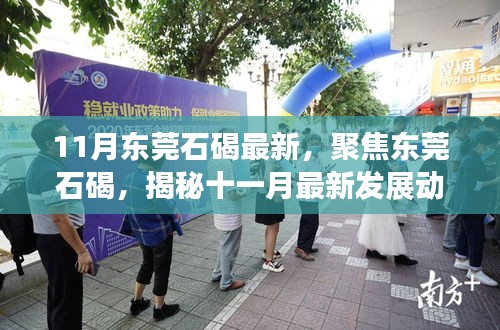 聚焦东莞石碣，揭秘十一月最新发展动态更新报道