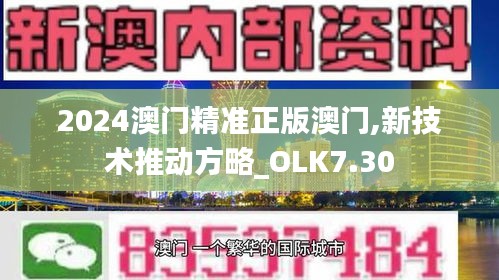 2024澳门精准正版澳门,新技术推动方略_OLK7.30