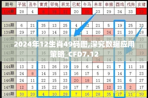 2024年12生肖49码图,深究数据应用策略_CFD7.12