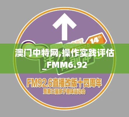 澳门中特网,操作实践评估_FMM6.92