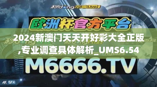 2024新澳门天天开好彩大全正版,专业调查具体解析_UMS6.54