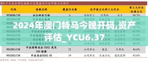 2024年澳门特马今晚开码,资产评估_YCU6.37