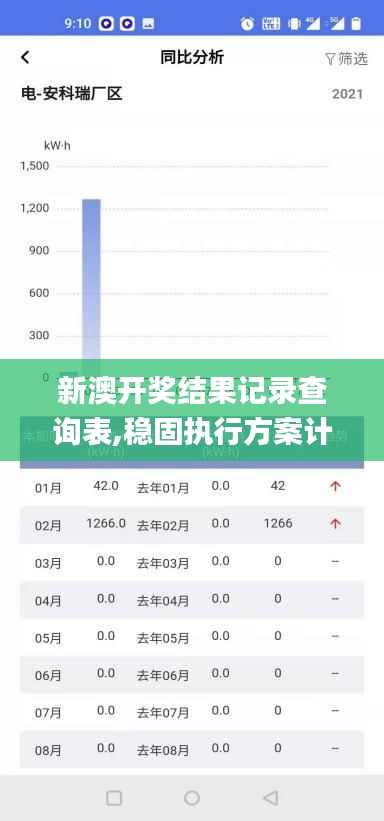 新澳开奖结果记录查询表,稳固执行方案计划_TNZ6.58