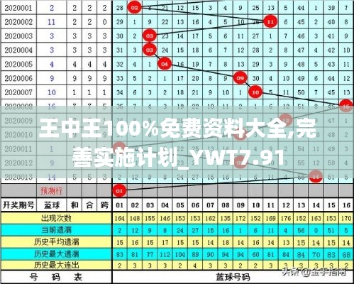 王中王100%免费资料大全,完善实施计划_YWT7.91