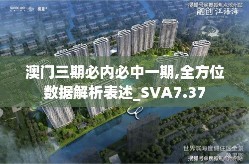 澳门三期必内必中一期,全方位数据解析表述_SVA7.37