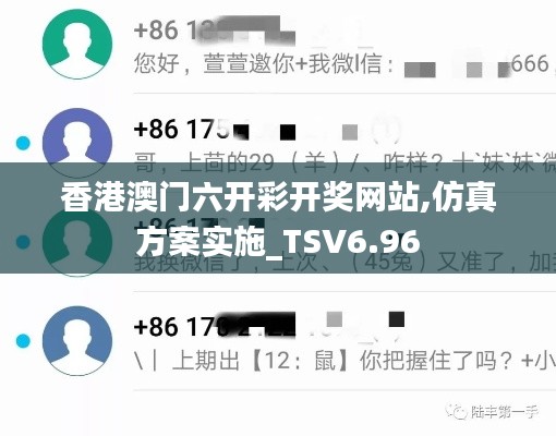 香港澳门六开彩开奖网站,仿真方案实施_TSV6.96