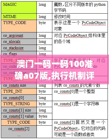 澳门一码一码100准确a07版,执行机制评估_CPZ6.29