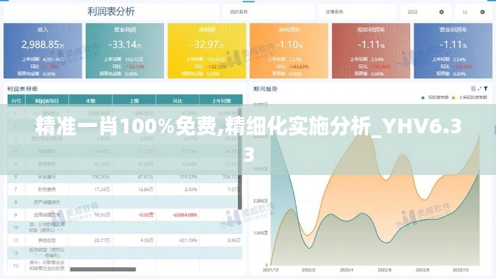 精准一肖100%免费,精细化实施分析_YHV6.33