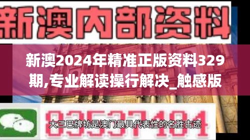 新澳2024年精准正版资料329期,专业解读操行解决_触感版QKC11.46