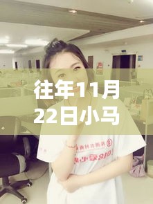 揭秘，往日焦点——小马苏在11月22日的热门时刻